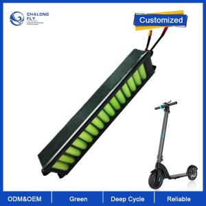 China OEM ODM LiFePO4 lithium battery pack Electric Scooter battery 24V 36V 48V 6Ah 7.8Ah 10.5Ah 18Ah US Europe Warehouse factory