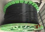 Single thermoplastic Encapsulated Control Line Tubing
