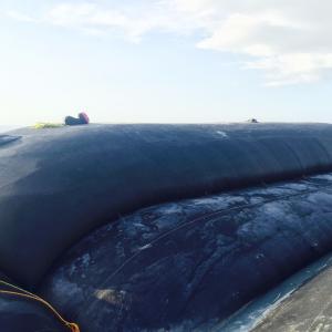 China GT1000 High Strength PP Woven Geotextile 200kn/M Geotube Breakwater In Marine Project factory