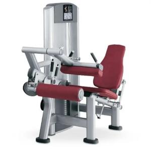 China Commercial Pin Loaded Leg Curl Machine Adjustable Seated Calf Exercise factory