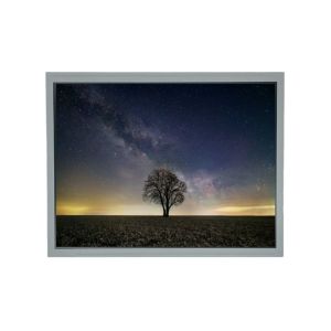 China T-55787GD104J-LW-AHN 10.4 Inch 800*600 30 Pin TFT Lcd Display Modules in Stock on sale