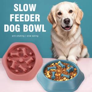 Advanced Pet Feeding Technology | Scientific Slow Feeder Solution