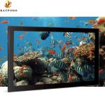 Advertising Displayer Full HD Touchscreen Monitor Raypodo 18.5'' 1366 * 768 For