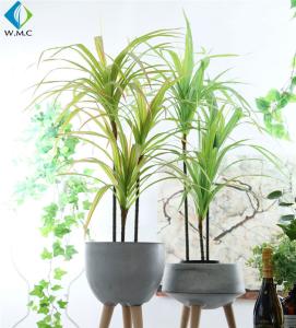 China Dracaena Cinnabari Artificial Potted Plants , Green Dragon Tree Bonsai factory