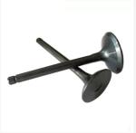 TEM Toyota 1HZ Intake Engine Valve 13711-17010 Exhaust Valve 17315-17010 1HZ