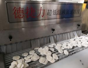 China DJL Food Vegetable Cooling Conveyor Freezing Machines Factory Price Commercial Freezer factory