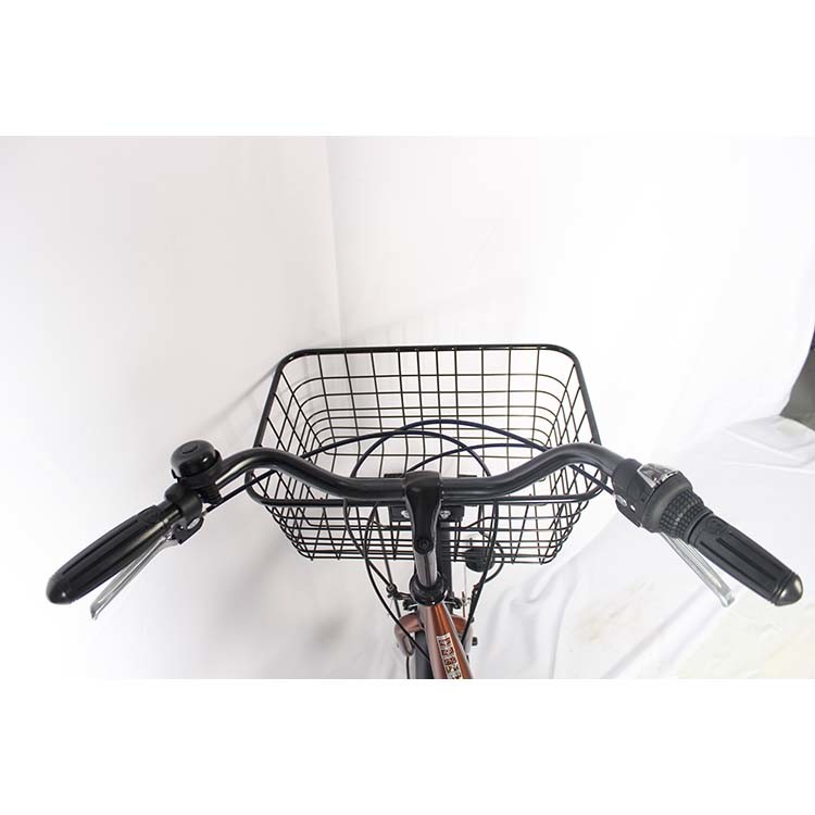Puncture Resistant Disc Brake Lightweight Platform City Bike 6 Speed For 160-180cm Riders