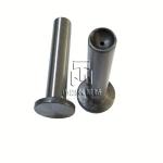 Valve Tappet 04178075 02109031 0417 8075 0210 9031 4178075 2109031 for deutz