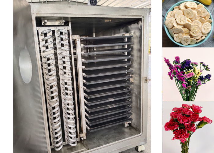 Revolutionize Vegetable Drying Process With Vegetable Freeze Dryer