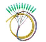 Multicore Sc FC LC St Patch Cord / Fiber Optic Pigtail For Telecom / Network