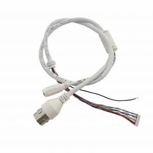 China MX1.25 10 Pin IP Camera Cable RJ45 Chassis DC*5.5*2.1 IP Camera Tail Cable 011 factory