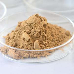 China High Temp Amylase Alcohol Enzyme For MSG Starch Sugar Industry factory