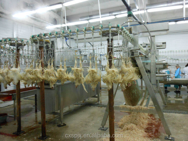 SS 304 Automatic Slaughtering Machine Chicken Plucking Machine 300bph - 12000bph