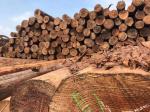 Customized Outdoor Cedar Wood Fence For Garden Decoration Good Stability