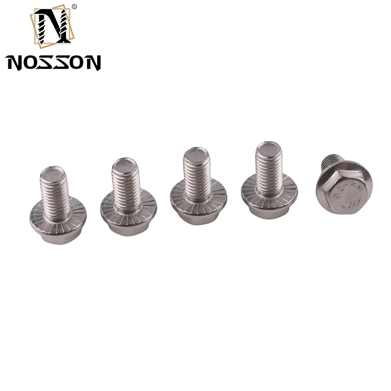 Standard DIN Industrial Serrated Titanium Hexagon Flange Bolt m6 m10 m12 for Carriage Bolts
