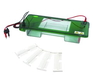 China Reliably Horizontal Gel Electrophoresis Unit 900 Ml Buffer Volume Electrophoresis Cell factory