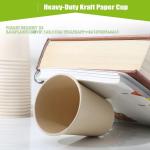 Bamboo fiber paper cups 12 OZ For Hot Beverages-Disposable Coffee Cups