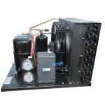 TAG2522ZBR Commercial Condensing Units R404 Refrigerant Cold Storage Compressor