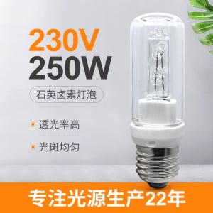 China 250 Watt Quartz Bulb Halogen E27 250w Dimmbar 230V Halolux factory