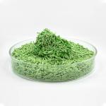Sustainable Fast Clumping Green Tea Cat Litter Dust Free Superior Absorbency