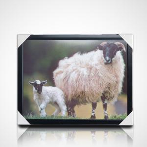 China Customized 3D PET Lenticular Poster Printing 3D Painting with Black PS Frame for Home Decoration factory