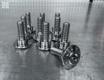 INCA Titanium Alloy Screws Ten Pieces Minimum Order For Touring Series