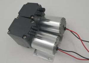 China 5L/M flow 110kpa pressure mini brushless 12v dc diaphragm pump factory