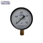 general black steel case 100mm standard bottom M20X1.5 mount bourdon tube