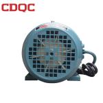 Family Size Motor Asynchronous Induction Motor High Accuracy Bearings
