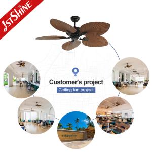 52-Inch Tropical Ceiling Fans With Lights And Remote For Medium To Large Spaces
