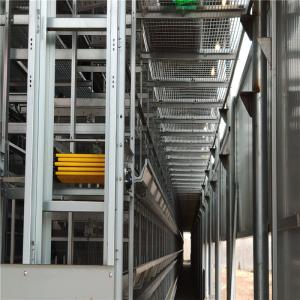 China Poultry 6 Tiers H Type Layer Bird Cage 192 Birds / Set corrosion resistance factory