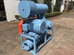 100 4 Inch Port Dia Roots Type Blower High Efficiency Low Energy Consumption