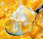 Multifunctional Extruder Corn Maize Flakes Breakfast Cereals Machine Production