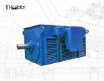 High Voltage Electric Motors IP23 Speed Range 100rpm-3600rpm for Heavy-Duty