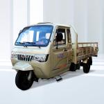1000W Rear Spring Leafs Motorized Tricycles for Heavy-Duty Cargo Transportation