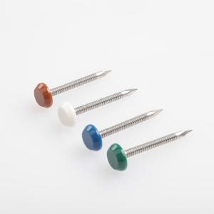 China A2 / A4 Polymer Headed Pins And Stainless Steel Nails With Colorfull Head factory