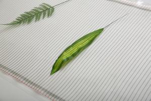 China High Toughness Carbon Heating Film , 300W Underfloor Heating For Laminate Flooring Reviews factory