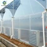 Galvanized Steel Gothic Shaped Greenhouse Snow Resistance With Ventilation