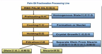Palm Oil Processing Mill Automatic Palm Kernel Expeller Machine for Bunch Threshing at 48m*12M*15M 30TPD