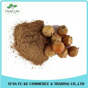 High Quality Reetha / Soapnut Extract Powder