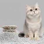 Economical Cat Sand Bentonite Odor Control Deodorizing Bentonite Litter For Cats
