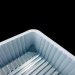 Food Grade PP Bakery Tray Freezer Safe Customizable