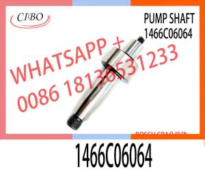 China Remanufactured quality camshaft 1466C06064 For oil pump 0445010684 0445010690 factory