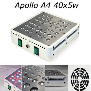 China China best red blue 200w full spectrum plant led grow lights factory