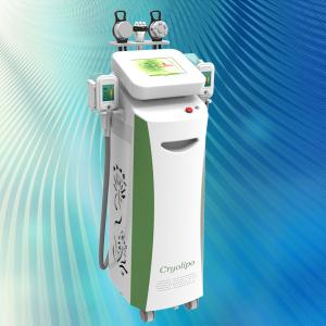 China Big promotion in Sep!!! Multi-function cryolipolysis weight loss machine for clinic factory