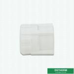 Casting Technics White Ppr Pipe Accessories Female Threaded Coupling
