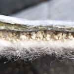 Hotel HDPE Coated Prefabricated Bentonite Geotextile GCLs Composite Waterproof