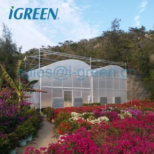 Customized Poly Tunnel Greenhouse Multi Span Agricultural polycarbonate tunnel