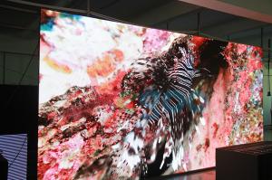China P3.91 Indoor Full color LED Display high resolution led display 250mm×250mm factory