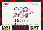 Original 127-8213 374-0750 3740750 2530615 253-0616 CAT C15 Fuel Injector Nozzle
